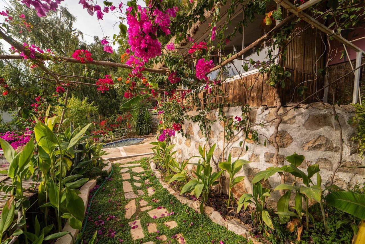 Begonvilla Bungalows Fethiye Eksteriør billede