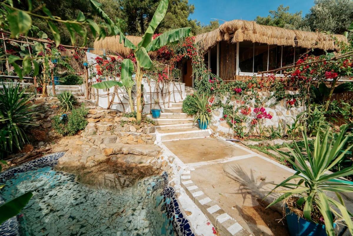 Begonvilla Bungalows Fethiye Eksteriør billede