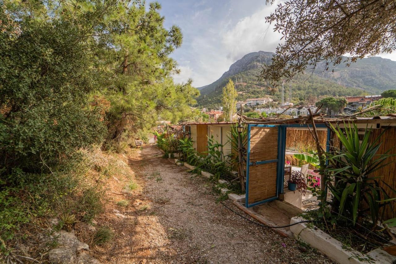 Begonvilla Bungalows Fethiye Eksteriør billede