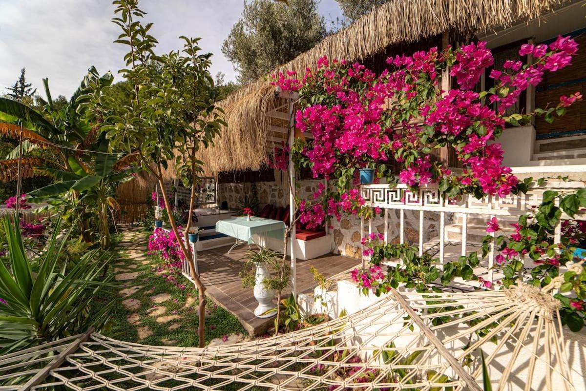 Begonvilla Bungalows Fethiye Eksteriør billede