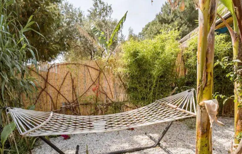 Begonvilla Bungalows Fethiye Eksteriør billede